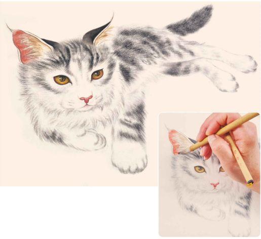 猫咪装饰画怎么选才不翻车？