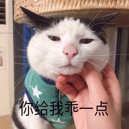 长安欧诺发动机真的省油吗?实测数据揭晓燃油经济性真相 长安欧诺发动机真的省油吗?实测数据揭晓燃油经济性真相