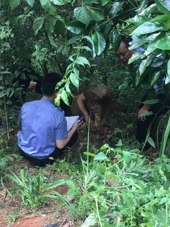 什么是八字命理？