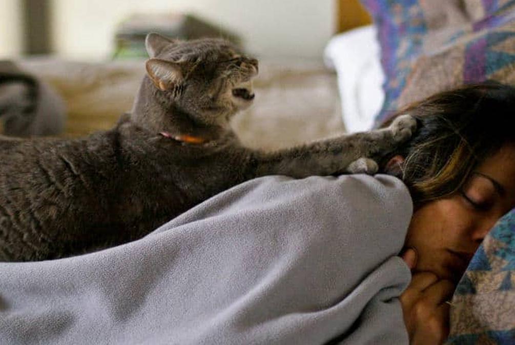 你家主子到底喜不喜欢你？