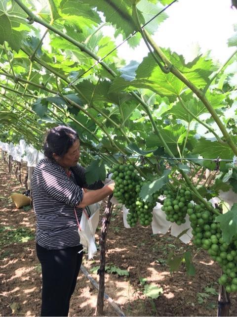 梦见肚脐眼冒东西预示什么？3大预兆与化解全解