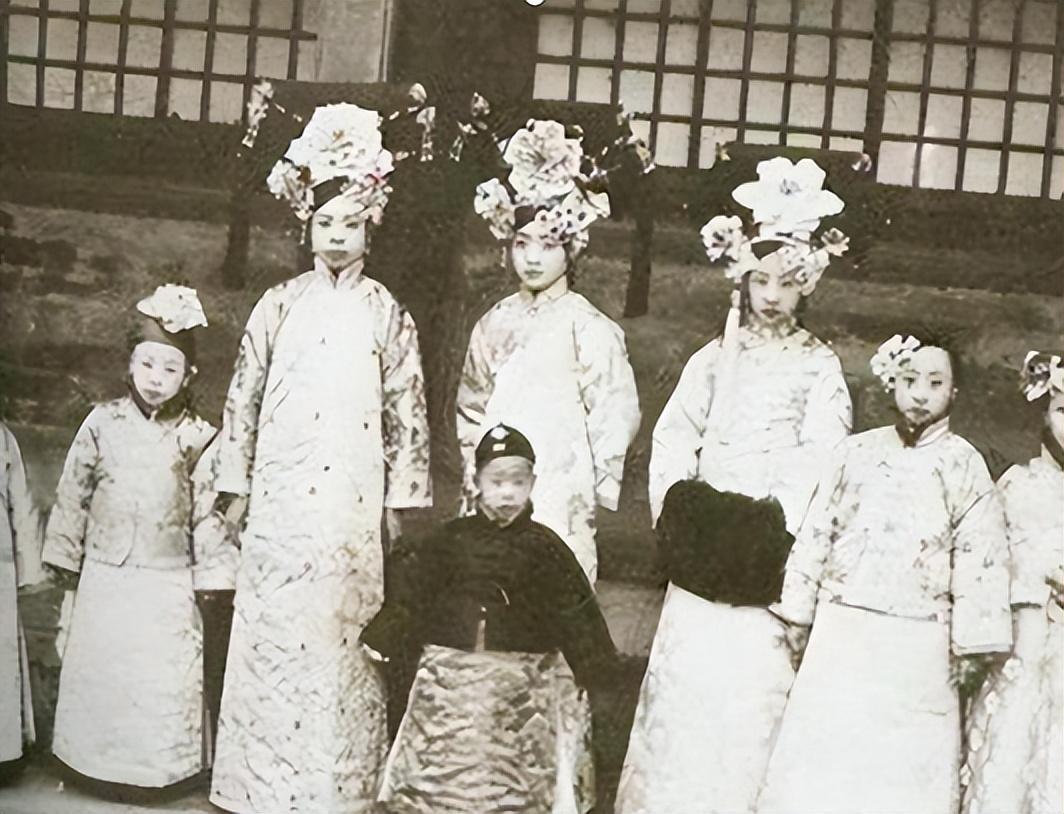 你家猫主子能通关吗? 你家猫主子能通关吗?