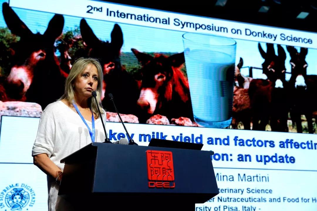 意大利比萨华人论坛到底怎么用？新手必看生存指南