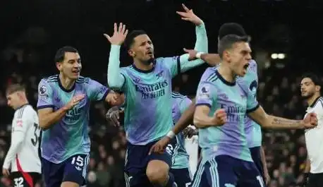 切尔西逆转热刺比赛分析_英超赛事积分榜最新_2024英超联赛积分榜