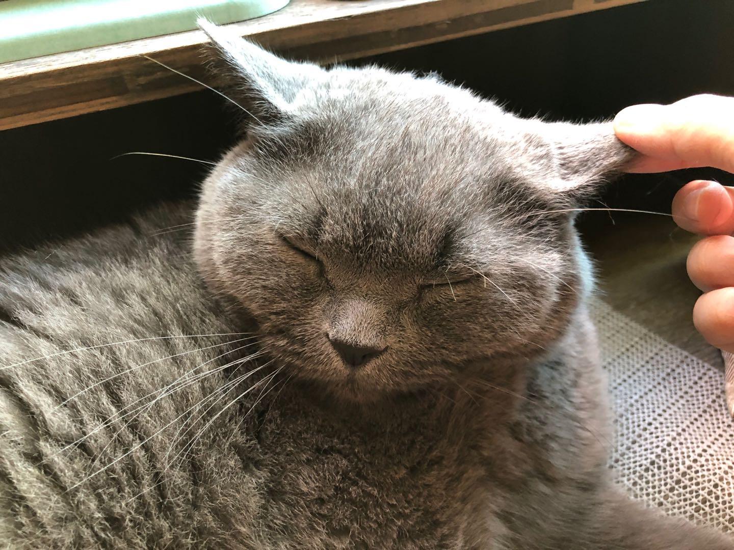 瓷都算命真能算出你的婚姻好坏吗？