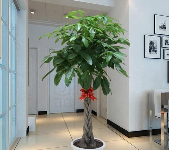 部队律师：维护军人权益，助力军队法治建设