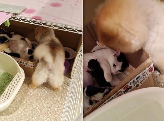 北京行政律师事务所排名前十：专业、服务、胜诉率等多因素考量