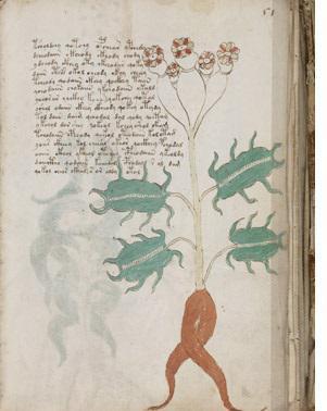 这本用外星文字写的百科全书到底怎么破解？