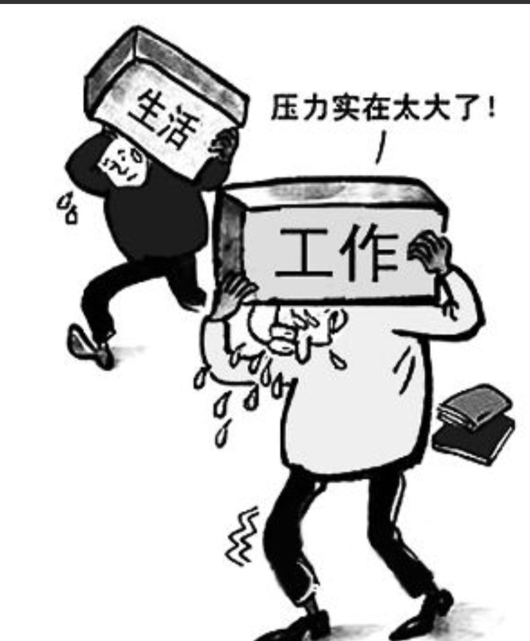 全新威驰真的能成为新手小白的第一台车吗？