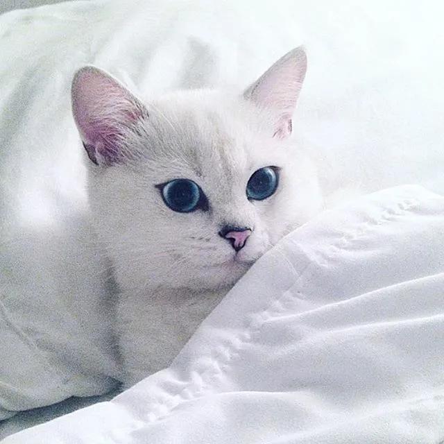 你的公司为什么总在创业板门口打转？