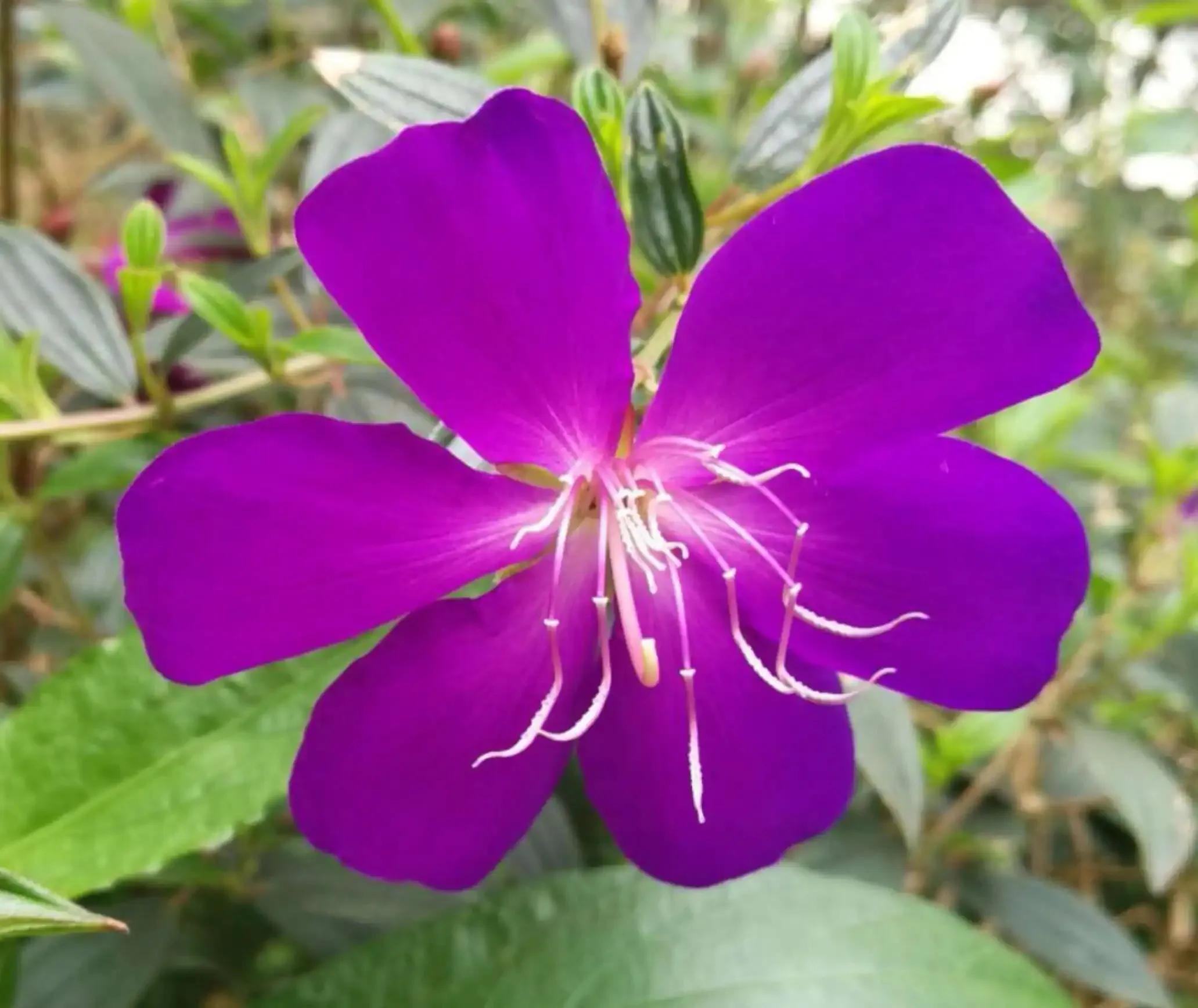 梦见租房子被人撵走预示什么?周公解梦揭秘事业与情感双重转折! 梦见租房子被人撵走预示什么?周公解梦揭秘事业与情感双重转折!