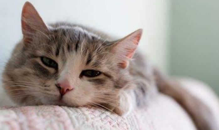 微信上算命的师傅真的能看透你的命运吗? 微信上算命的师傅真的能看透你的命运吗?