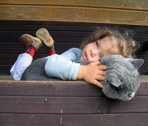 猫咪关笼子一直叫怎么办?新手必看的5个安抚技巧 猫咪关笼子一直叫怎么办?新手必看的5个安抚技巧