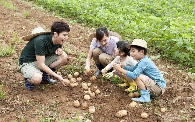 想搞农业创业却没钱?这些贷款条件你满足了吗? 想搞农业创业却没钱?这些贷款条件你满足了吗?