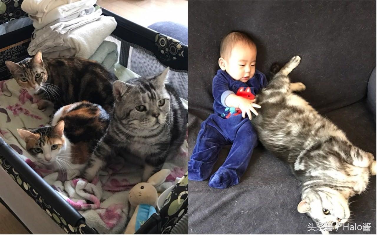 道教的起源 中国传统宗教道教的由来和发展