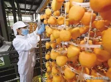 农村无息贷款真的不用还利息吗？