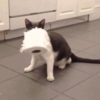 在日本不会说日语？华人论坛到底怎么用才不踩坑？