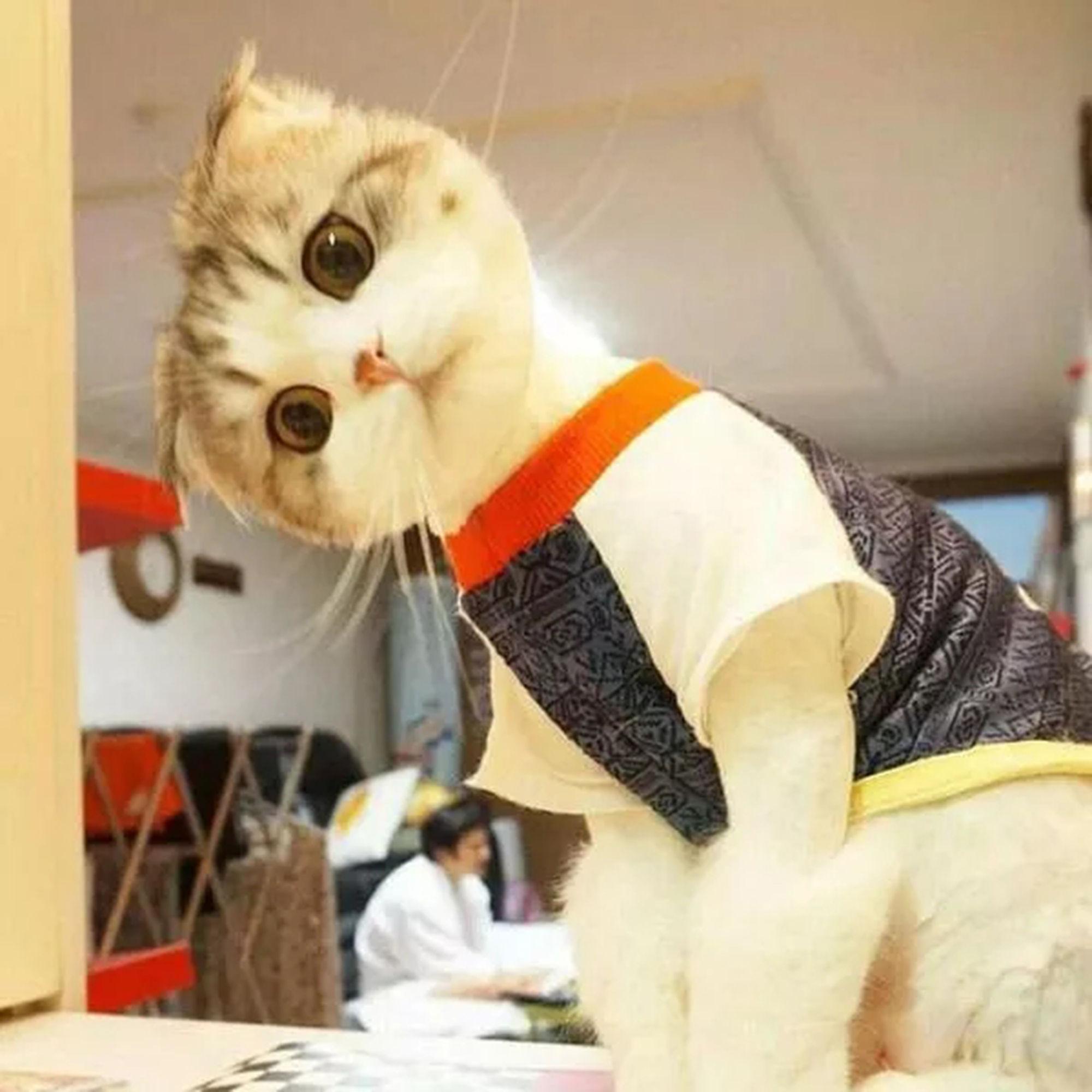 预算不足?力帆620报价如何避开购车陷阱_详解报价构成及省2万元技巧 预算不足?力帆620报价如何避开购车陷阱_详解报价构成及省2万元技巧