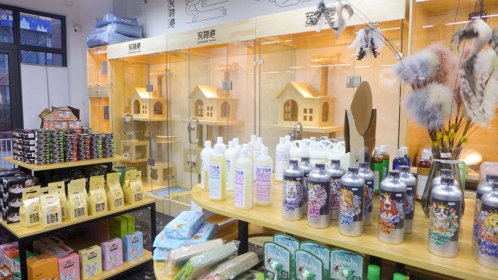 主子眼屎突然变多是不是要瞎了？