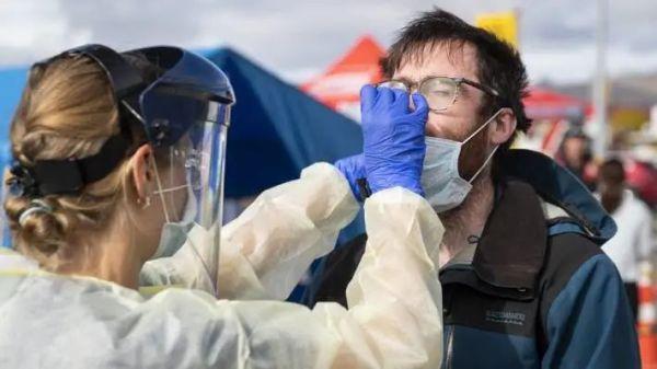 刚来新西兰被坑了3万纽币?华人论坛朱女士到底什么来头? 刚来新西兰被坑了3万纽币?华人论坛朱女士到底什么来头?