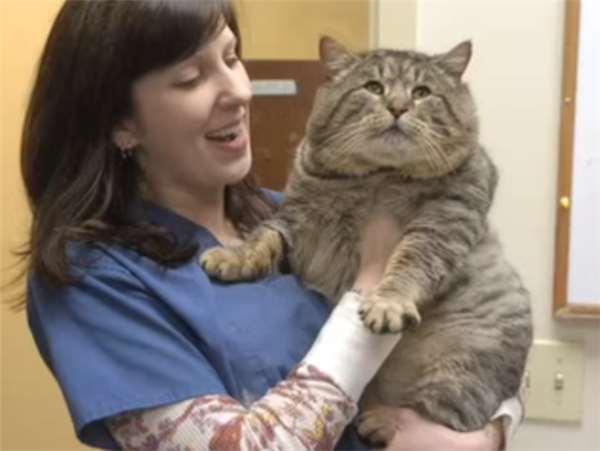 5月29日到底藏着多少改变世界的秘密? 5月29日到底藏着多少改变世界的秘密?