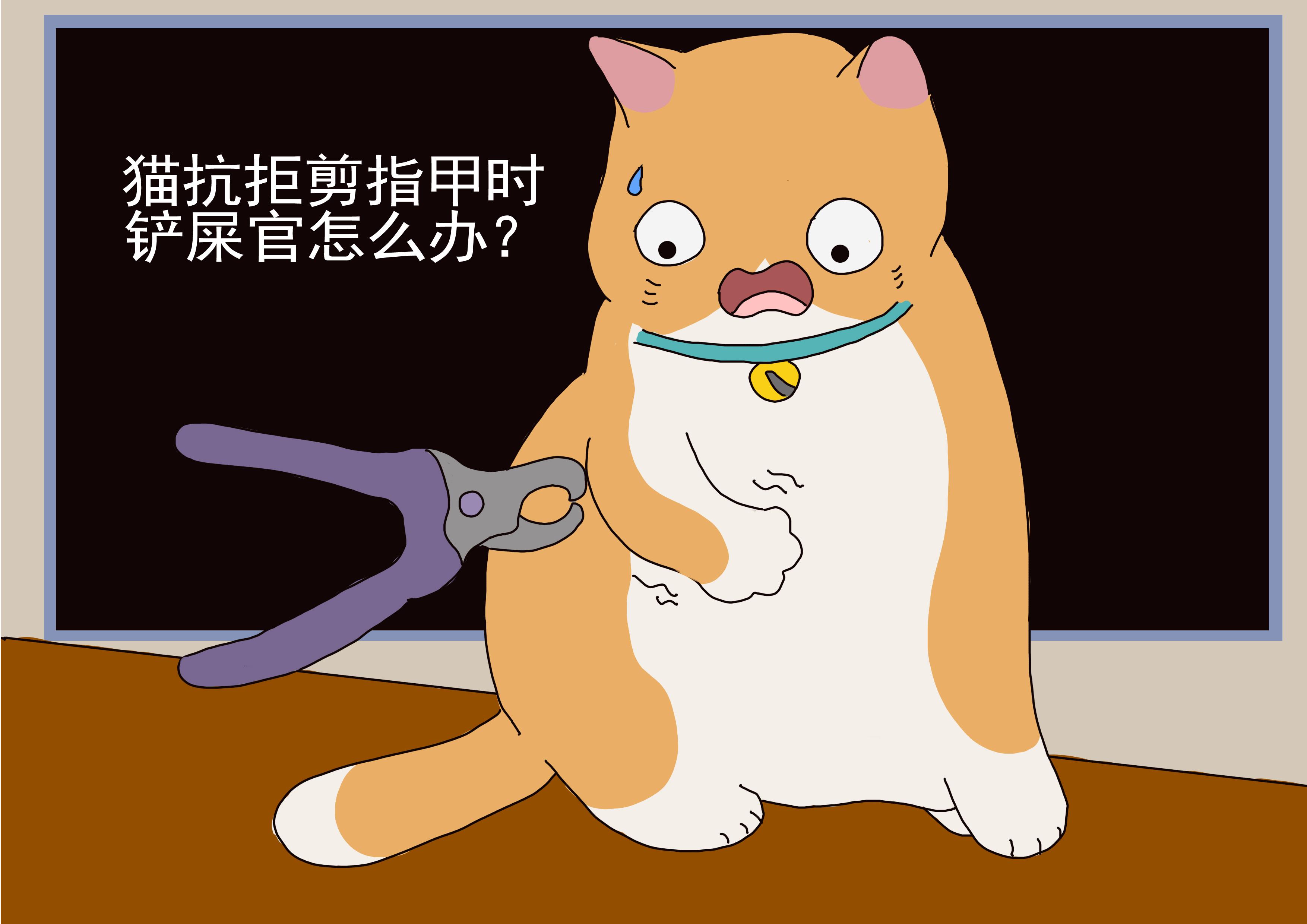 亚冠半决赛赛程日期表，亚冠半决赛赛制