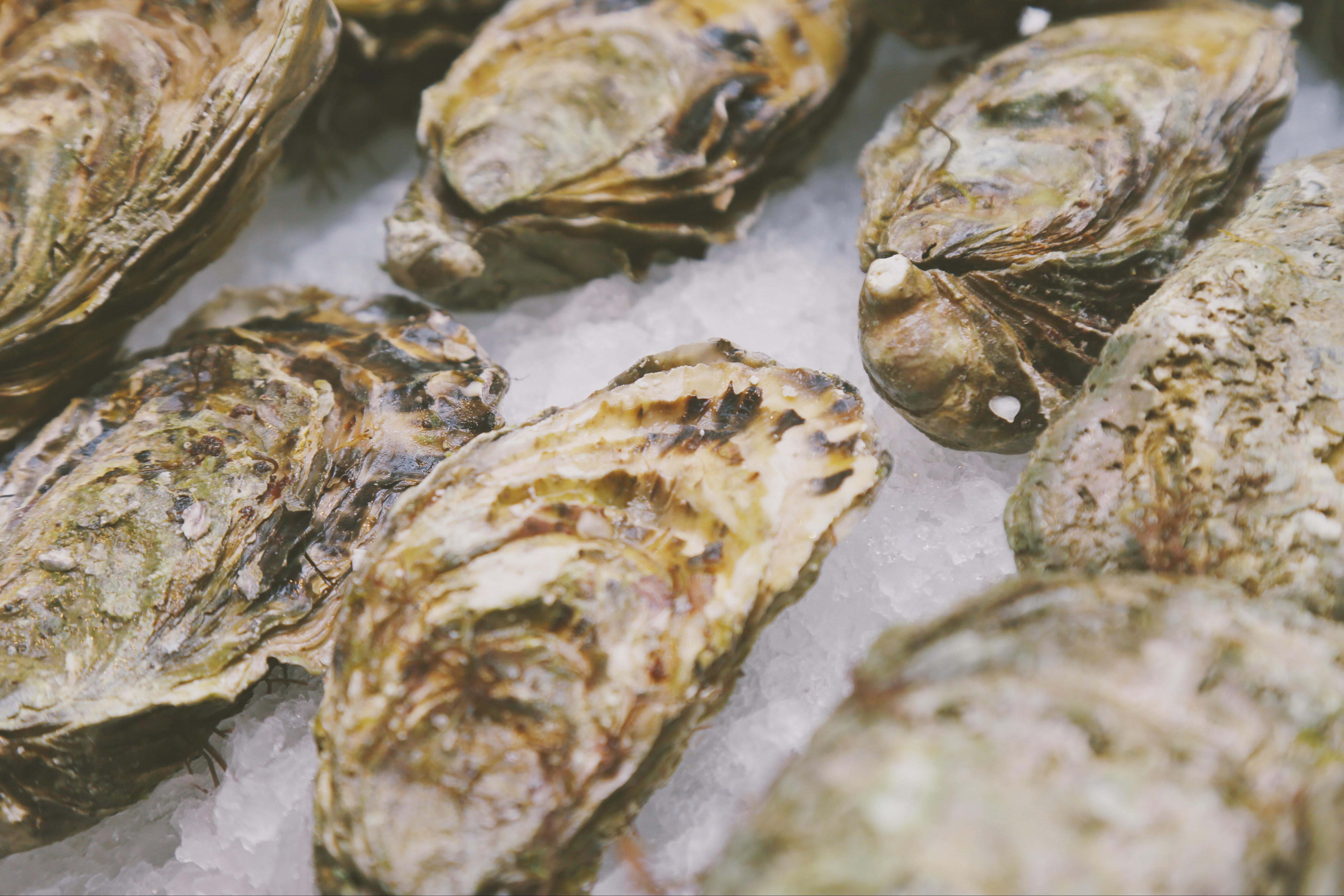 在加拿大找不到家乡味道的辣椒酱怎么办？