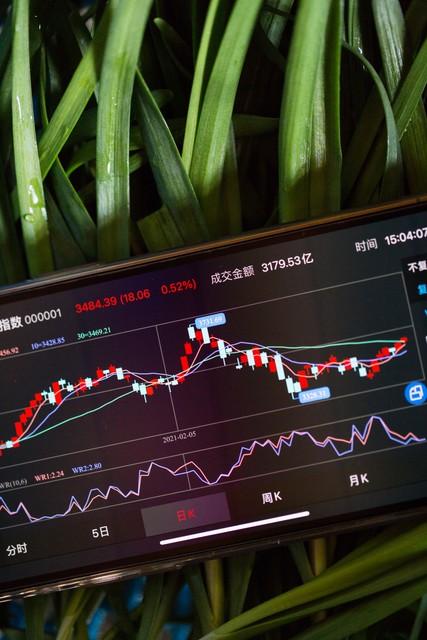 散户小韭菜想在股市赚钱？先学这几招基础技巧，实用指南请收好