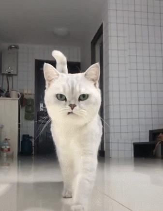 在北美论坛写中国农村小说真的有人看吗? 在北美论坛写中国农村小说真的有人看吗?