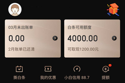 京东白条激活失败的原因有哪些？快来看看你中招没