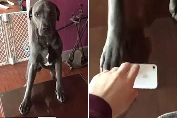 亚洲一卡2卡三卡：多卡体系如何改变出行，跨国支付有哪些创新，用户如何选择最优方案