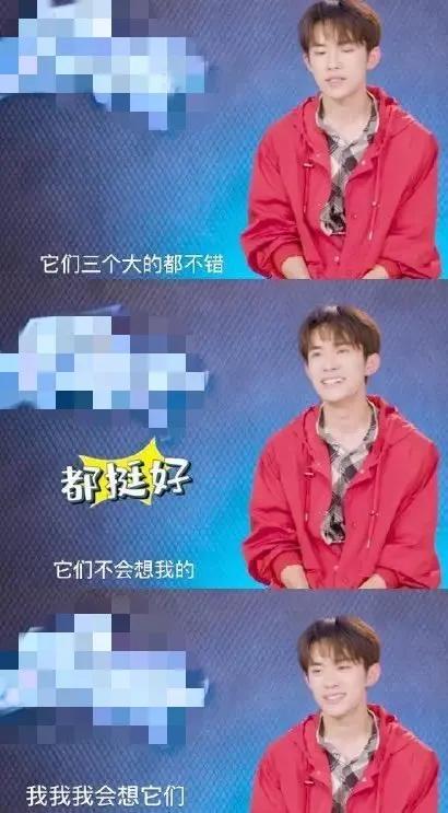 第一次养猫需要准备哪些救命知识？