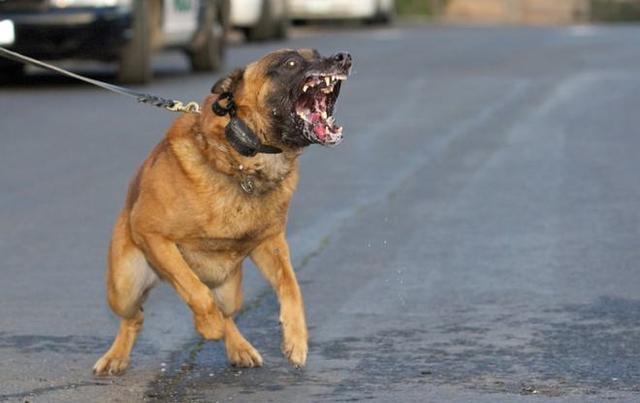 巴特纳到底怎么玩？新手必看的保姆级攻略