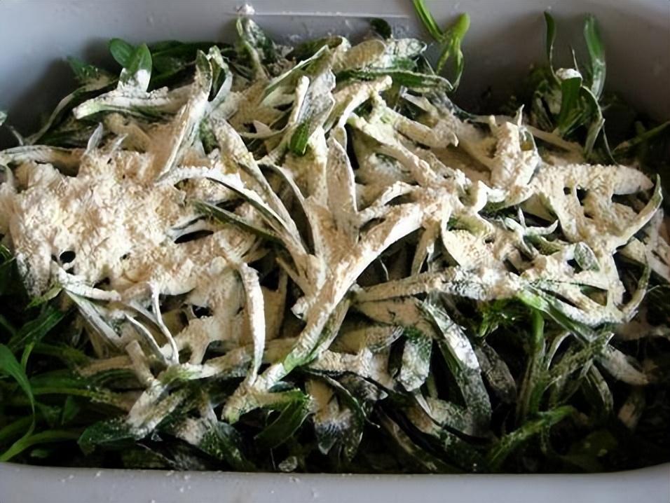 属相不同躲春方式也要改吗？