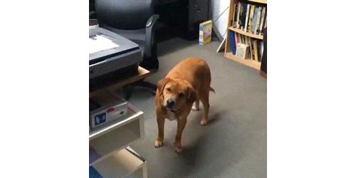 长安之星2新车与二手车报价全解析，购车前必须了解的价格差异