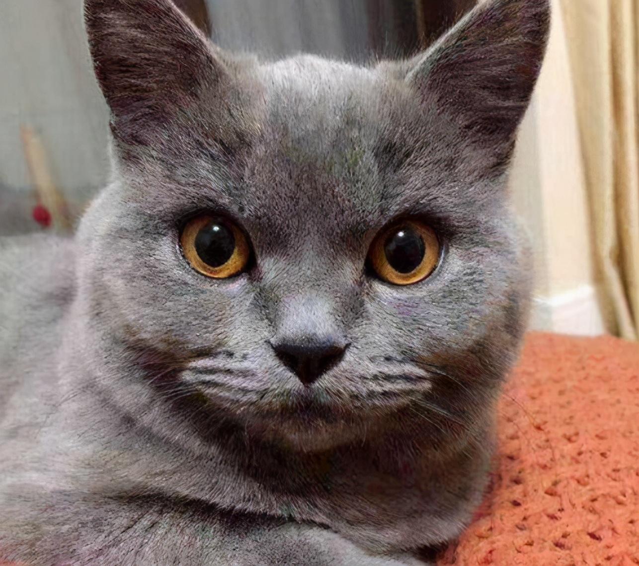 宝骏630召回背后:安全隐患为何频发?车主必看的官方处理方案解析 宝骏630召回背后:安全隐患为何频发?车主必看的官方处理方案解析