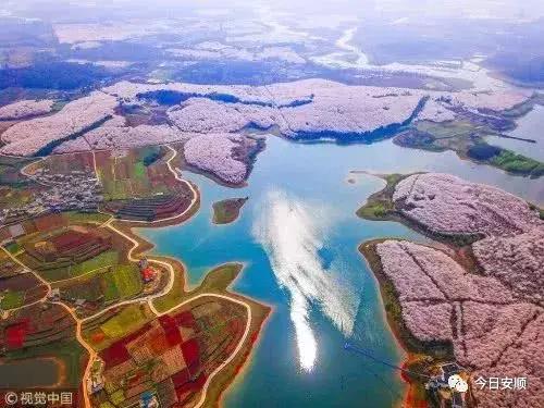 新手怎么在贝美华人论坛写小说才能火？