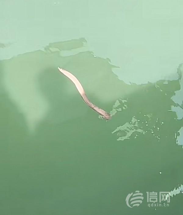 B200论坛：技术交流新阵地，行业资源汇聚地，探索知识共享与实战价值