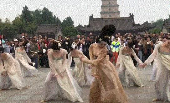 养蓝眼睛的猫咪会不会被诅咒? 养蓝眼睛的猫咪会不会被诅咒?