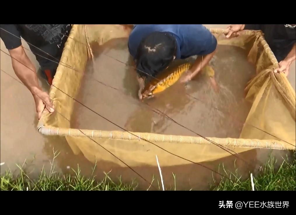 算命先生能看出我是同性恋吗? 算命先生能看出我是同性恋吗?