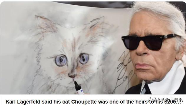 给猫咪火化到底要花多少钱才不被坑？