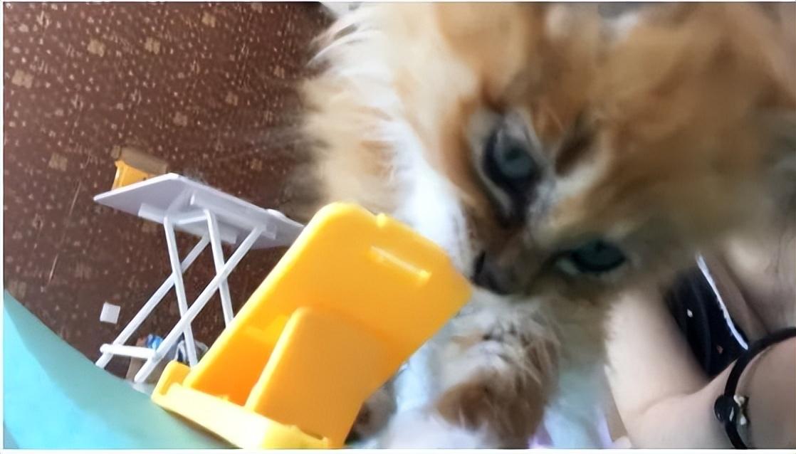 中国女足客场2-1韩国到底赢在哪？菜鸟也能看懂的破局秘籍