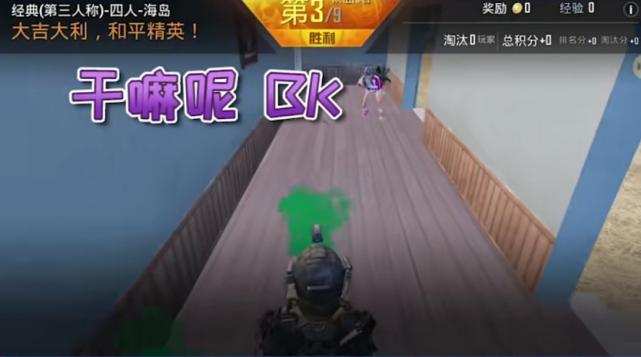 猫咪表情包动态到底怎么玩才不翻车？