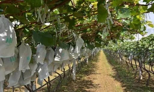 职业球员为何总在更衣室翻旧账? 职业球员为何总在更衣室翻旧账?