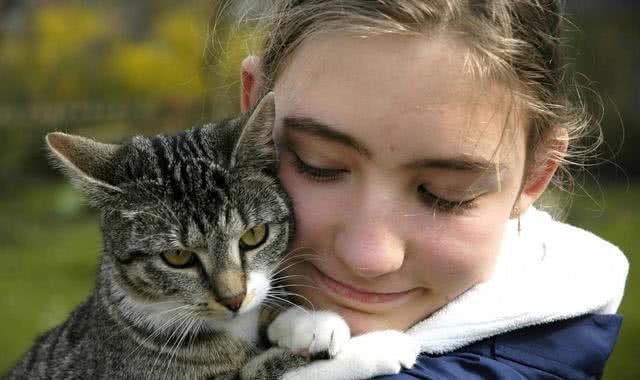 猫咪突然瘸了？可能是后腿脱臼在作怪！