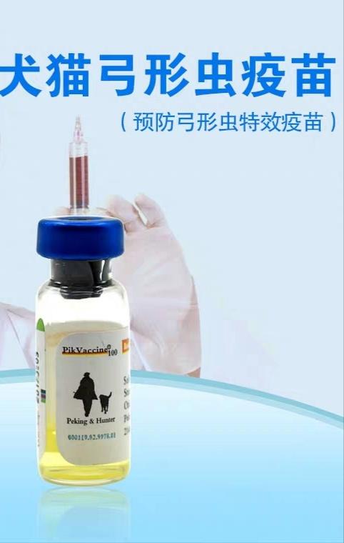 给猫咪打疫苗真的会要了主子的命吗？