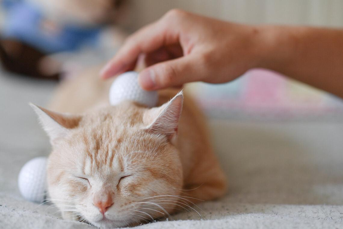 网络app投资黄金被骗充值如何提现