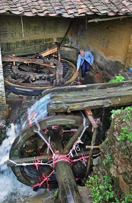 货运资格证办理全流程指南，材料准备与考试要点详解，新手必看避坑攻略