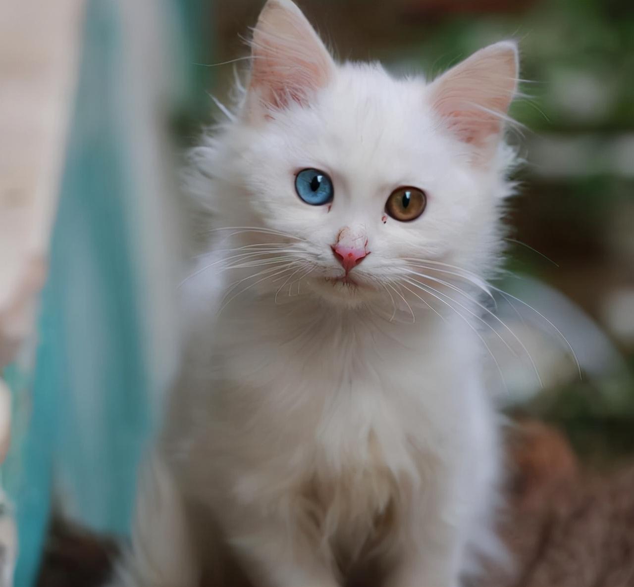 免费测五行真的能算准命理吗？