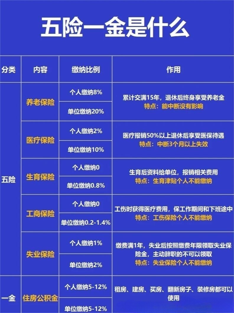 五金一险指的是哪五金？2025年最新解释一看就懂
